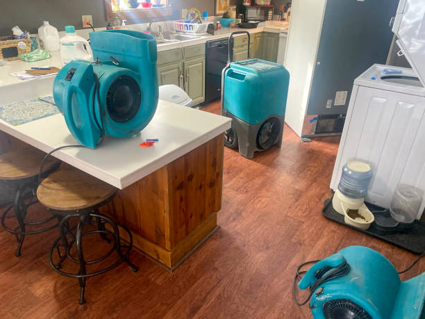 Best Water damage restoration near me  in Montebello, NY