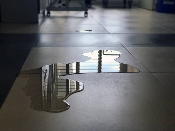 Best Carpet water damage restoration  in Montebello, NY
