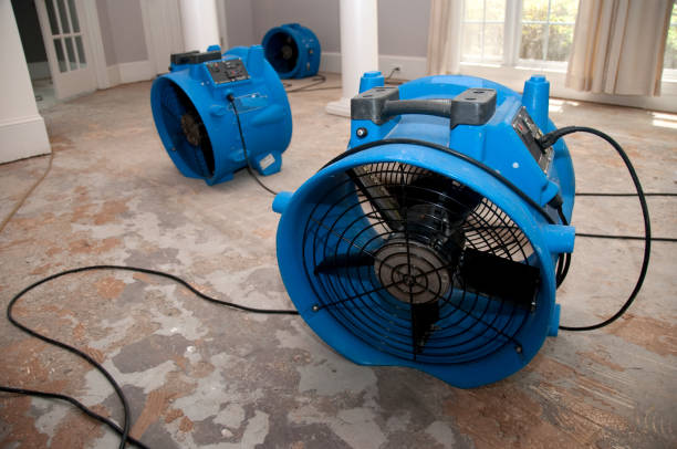 Best Mold removal after water damage  in Montebello, NY