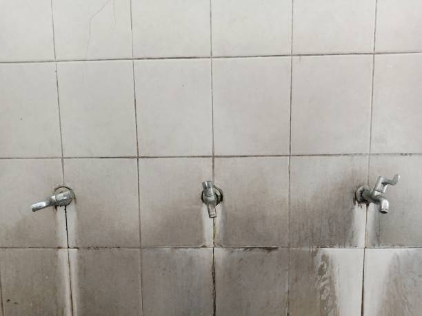 Best Professional water damage repair  in Montebello, NY