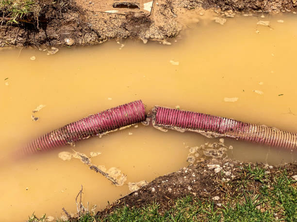 Best Local water damage restoration  in Montebello, NY